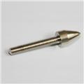 Chrome Front Contact Screw